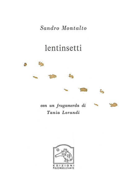 Lentinsetti