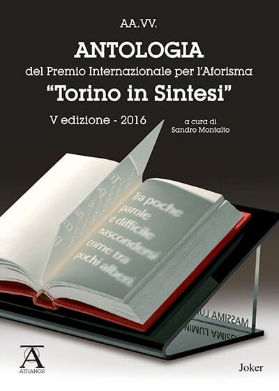 Antologia "Torino in Sintesi" 2016