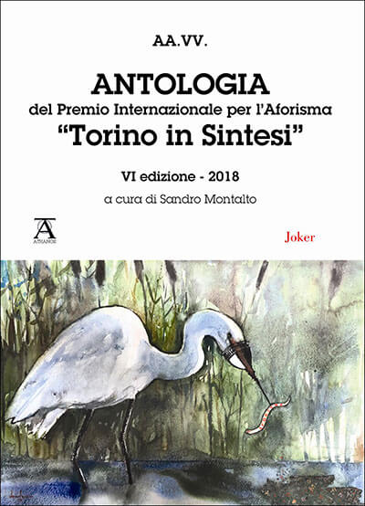 Antologia "Torino in Sintesi" 2018